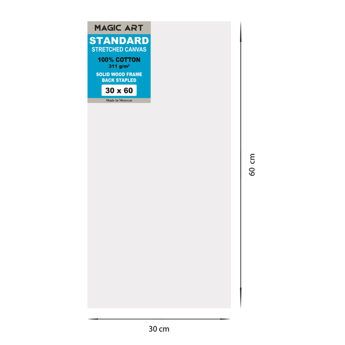 Toile Magic Art Standard 30x60 cm